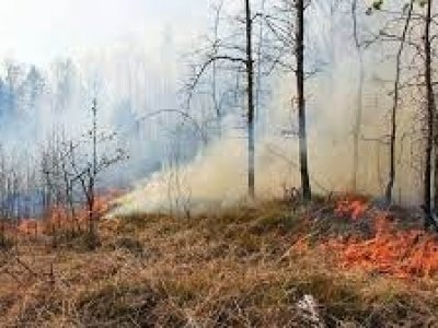 «Сезон будет тяжелый»: в Башкирии сохраняется высокий класс пожароопасности