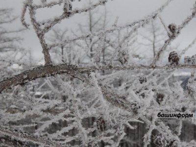 Жителей Башкирии предупредили о морозах и гололедице