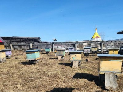 В Башкирии пчеловоды достали из зимовника ульи