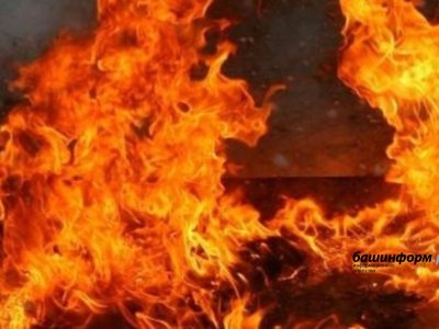 В ход пошли жидкость для розжига и зажигалка: житель Башкирии спалил чужой автомобиль