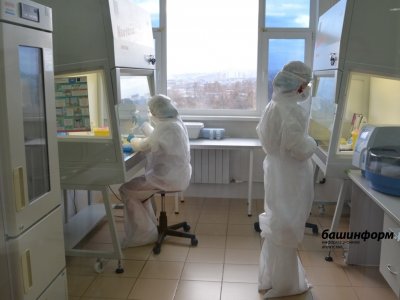 В Башкирии за сутки коронавирусом заболели 296 человек