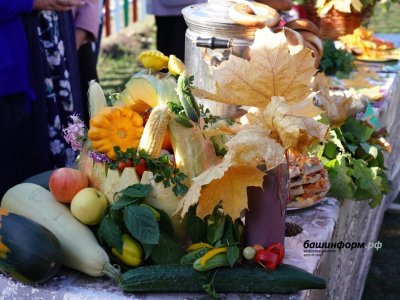 В выходные уфимцев ждут на сельскохозяйственных ярмарках