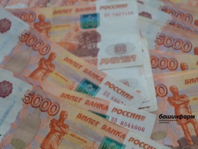 Житель Башкирии обманул молодую автоледи на 250 тысяч рублей