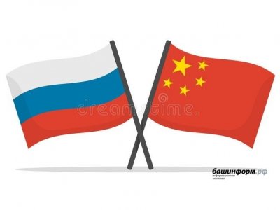 Премьер-министр Башкирии прокомментировал визит лидера Китая в Москву
