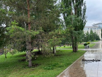 В Башкирии в ближайшие три дня будет тепло и дождливо