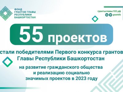 Подведены итоги первого конкурса 2023 года Фонда грантов Главы Республики Башкортостан