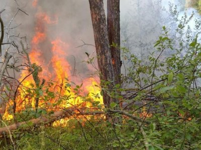 В Башкирии сохраняется чрезвычайная пожароопасность