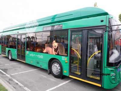 Стало известно, на каком маршруте в Уфе будут работать новые троллейбусы