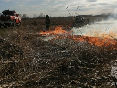 В Башкирии за минувшие сутки произошло 77 пожаров