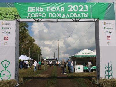 В Давлекановском районе прошло первое региональное совещание в формате «День поля» 2023 года