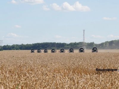 Затраты аграриев из-за роста цен на топливо увеличены на 3 млрд рублей — глава минсельхоза Башкирии