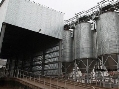 У аграриев Башкирии с начала года закуплено 40 тысяч тонн зерна в госфонд