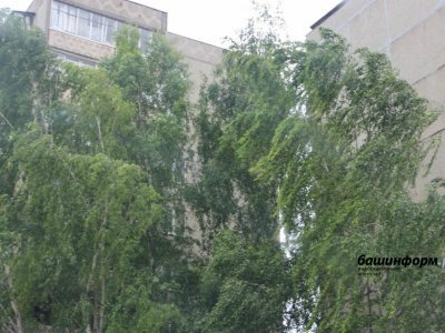 Внимание! МЧС предупреждает о сильном ветре и заморозках в Башкирии