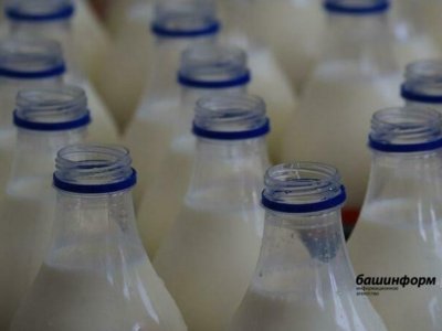 В Башкирии за январь-май производство товарного молока выросло на 4,3% к году