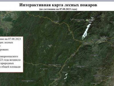В Башкирии за сутки лесных пожаров не зарегистрировано - госкомитет по ЧС