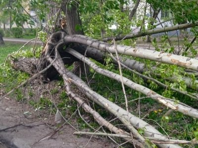 В Уфе из-за шквалистого ветра повалены деревья и повреждены автомобили