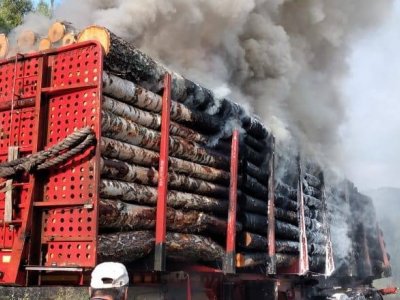 В Башкирии на трассе загорелся груженный дровами грузовик