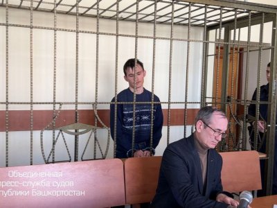 Напавший с топором на 12-летнего родственника житель Башкирии заключен под стражу