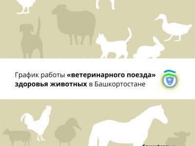 В Башкирии рассказали о ветеринарных поездах здоровья животных