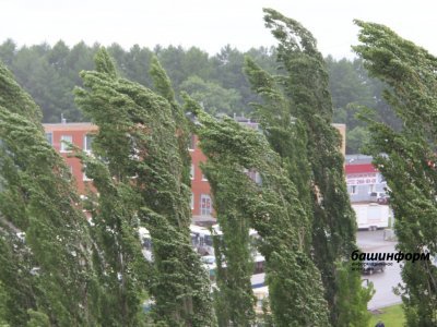 Жителей Башкирии предупреждают об ураганном ветре