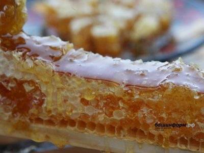 Пчеловодам Башкирии частично компенсируют покупку пчел местной породы и экспертизу меда