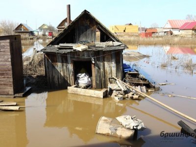В Башкирии садоводам помогут справиться с последствиями паводка-2024
