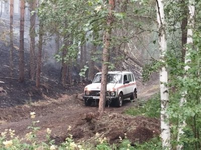 В  Башкирии за последние сутки новых лесных пожаров не зарегистрировано