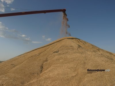 В Башкирии примут закон о поддержке производителей семян