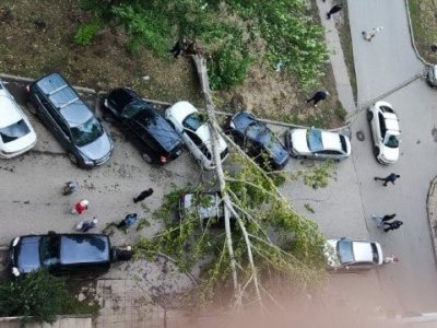 Сильный ветер в Уфе повалил деревья на 10 автомобилей