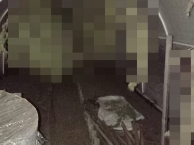 В Башкирии двое братьев попались на выращивании конопли в домашних условиях