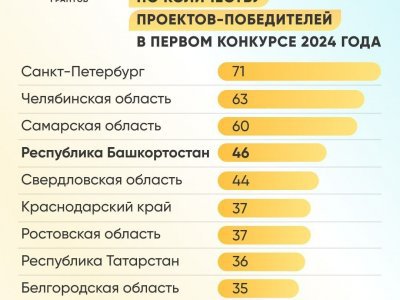 В конкурсе президентских грантов 2024 года победили 46 проектов из Башкирии