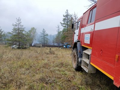 За минувшие сутки в Башкирии не зарегистрировано лесных пожаров
