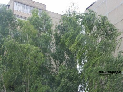 В Башкирии 30-31 июля прогнозируют неблагоприятные явления: грозы и усиление ветра до 20 м/с