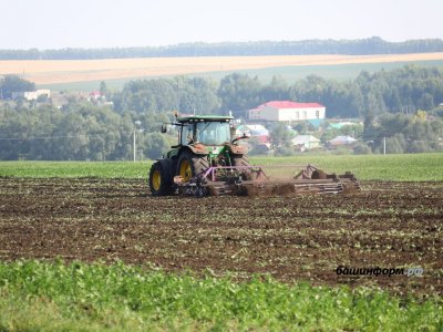 В Башкирии аграрная компания получила без торгов 260 га земли