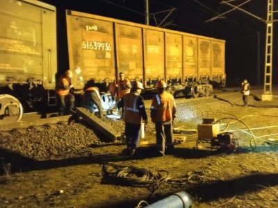 В Башкирии восстановлено движение поездов после столкновения товарняка с лосем