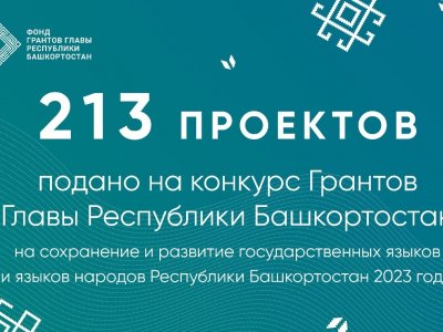 213 организаций Башкирии предложили проекты на сохранение и развитие языков почти на 300 млн рублей