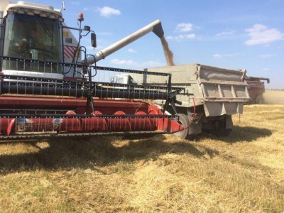 Башкирские предприятия реализовали более 52 тысяч тонн продукции в зерновых интервенциях
