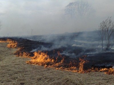 МЧС предупреждает о чрезвычайной пожароопасности в юго-восточных районах Башкирии