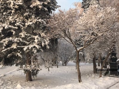 Жителей Башкирии ожидают «температурные качели»: от -6 до -38 градусов