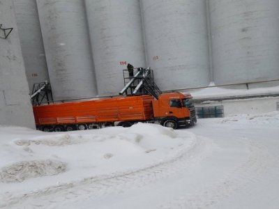 Башкирия поставила на внутренний рынок России еще более 600 тонн пшеницы