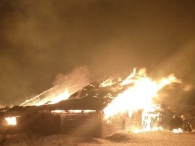 В одном из колхозов Башкирии при пожаре заживо сгорели 16 коров
