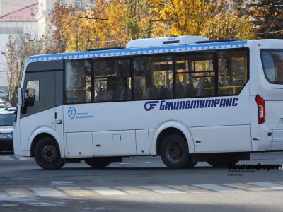 Жителей Башкирии предупредили об изменении расписания автобусов