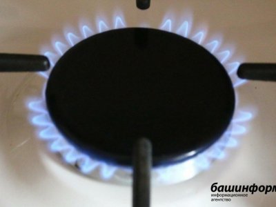 В Башкирии изменится порядок приватизации газовых сетей