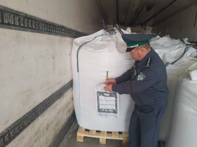Башкирия отгрузила в Казахстан более 300 тонн семян продовольственного сафлора