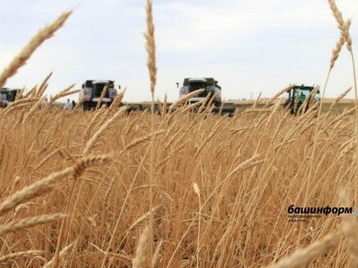В Башкирии актуализировали порядок выделения субсидий на покупку сельхозтехники