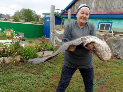 Пенсионерка в Башкирии поймала 12-килограммового сома