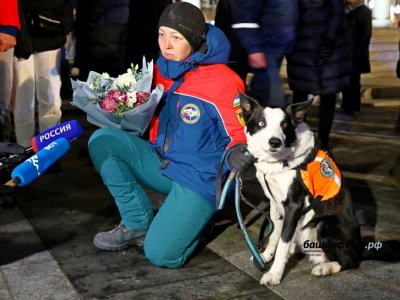 «Мы радовались каждому найденному живым»: хозяйка пса-спасателя из Башкирии — о работе в Турции