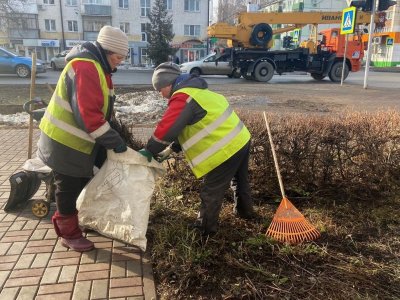 Жители Башкирии стали реже жаловаться на дороги и чаще – на накопившийся за зиму мусор