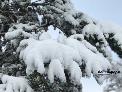 Прогноз погоды в Башкирии в предстоящие выходные: мокрый снег, 0 градусов и гололедица