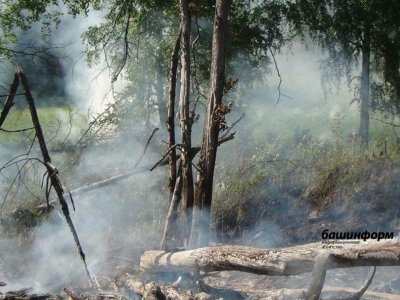 В Башкирии с начала пожароопасного сезона зарегистрировано 12 очагов лесных пожаров